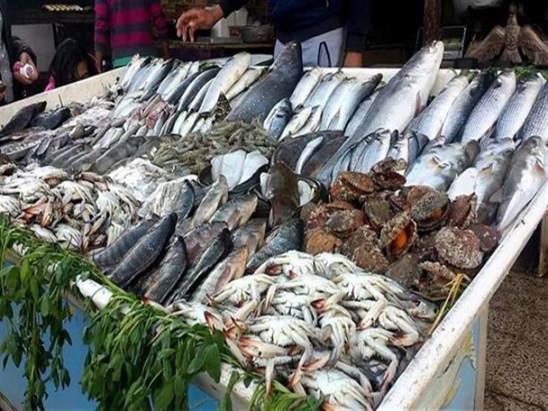 أسعار الأسماك اليوم الأربعاء 12 أكتوبر 2022 بسوق العبور