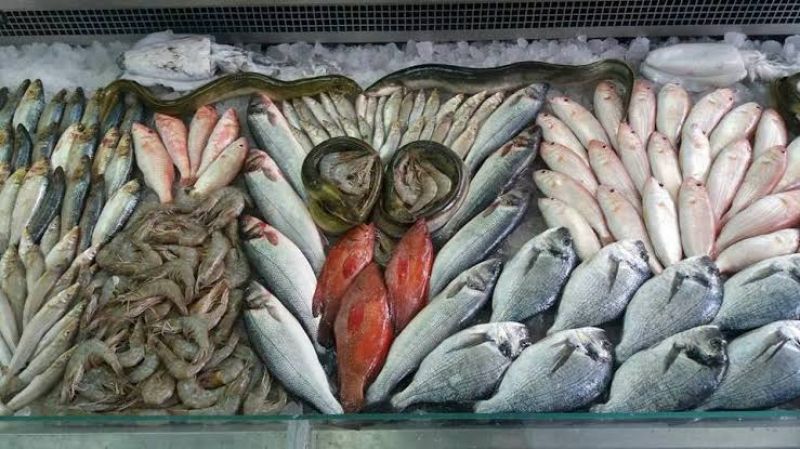 35 نوع أسماك بالأسواق والجمبري يتربع على عرش الأسعار