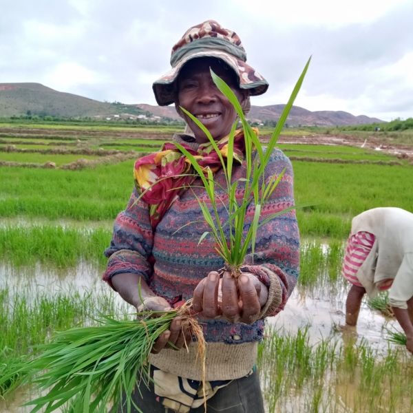 مدغشقر تطلب يد العون بالزراعة المصرية