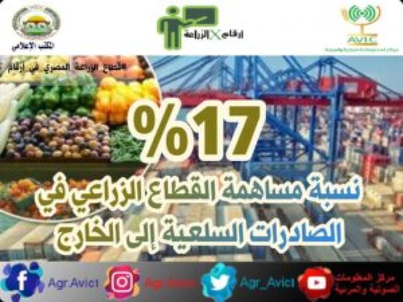 5 أرقام في غاية الأهمية حول الزراعة المصرية