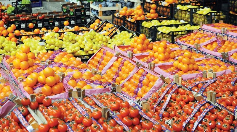 افتتاح السوق الفلبيني للصادرات الزراعية المصرية