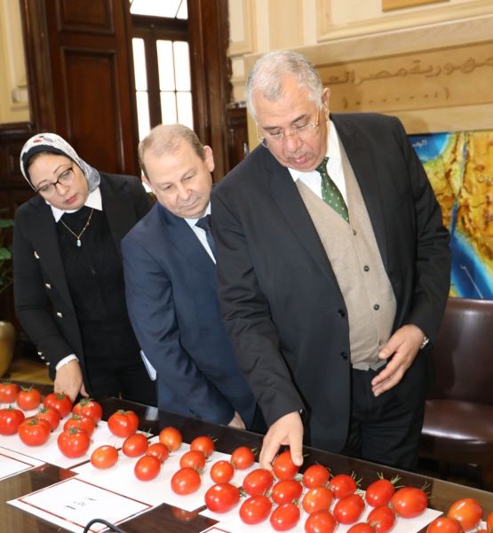 وزير الزراعة يتابع نتائج تقييم بعض الهجن وأصناف الطماطم