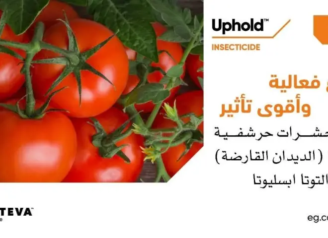 ”أبهولد”.. تكنولوجيا حديثة من كورتيفا لمكافحة الآفات وحماية المحاصيل
