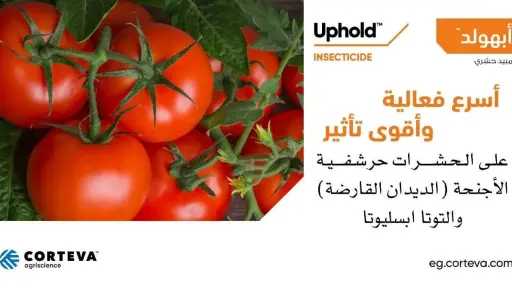 ”أبهولد”.. تكنولوجيا حديثة من كورتيفا لمكافحة الآفات وحماية المحاصيل
